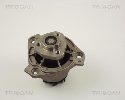 Triscan 8600 29017 - Pompe à eau cwaw.fr