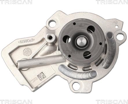 Triscan 8600 29084V - Pompe à eau cwaw.fr