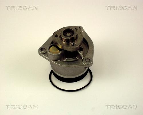 Triscan 8600 24009 - Pompe à eau cwaw.fr