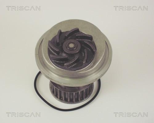 Triscan 8600 24001 - Pompe à eau cwaw.fr