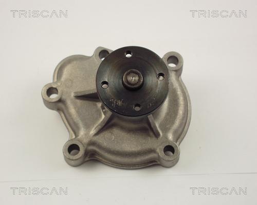 Triscan 8600 24008 - Pompe à eau cwaw.fr