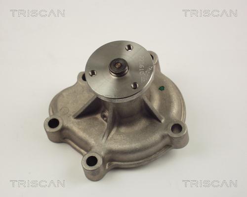 Triscan 8600 24016 - Pompe à eau cwaw.fr