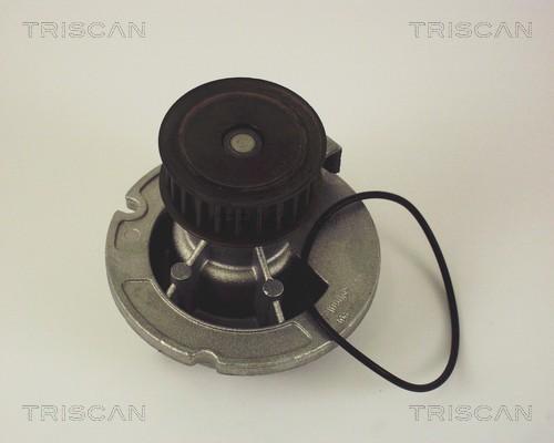 Triscan 8600 24010 - Pompe à eau cwaw.fr