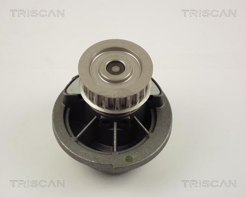 Triscan 8600 24017 - Pompe à eau cwaw.fr