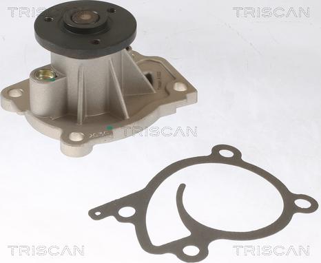 Triscan 8600 25096 - Pompe à eau cwaw.fr