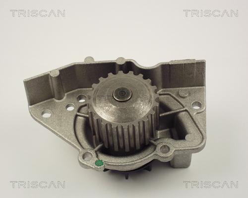 Triscan 8600 28916 - Pompe à eau cwaw.fr