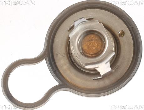 Triscan 8620 55484 - Thermostat d'eau cwaw.fr