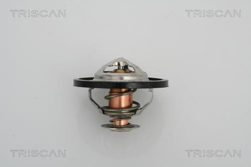 Triscan 8620 13591 - Thermostat d'eau cwaw.fr