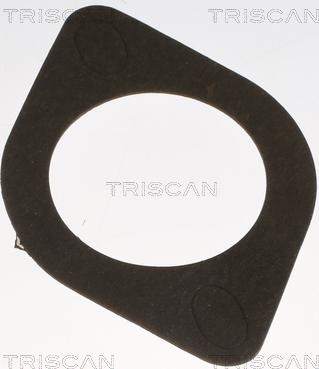 Triscan 8620 2082 - Thermostat d'eau cwaw.fr