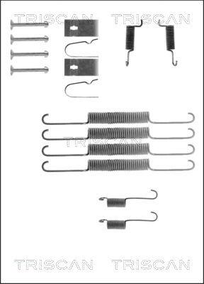 Triscan 8105 502539 - Kit d'accessoires, mâchoire de frein cwaw.fr