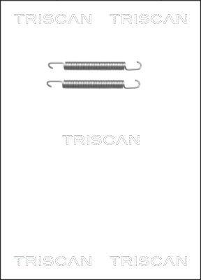 Triscan 8105 652161 - Kit d'accessoires, mâchoires de frein de stationnement cwaw.fr