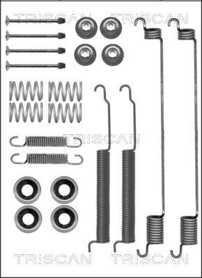 Triscan 8105 142566 - Kit d'accessoires, mâchoire de frein cwaw.fr