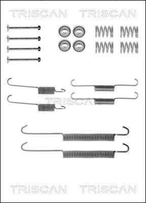 Triscan 8105 102031 - Kit d'accessoires, mâchoire de frein cwaw.fr