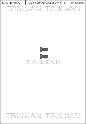 Triscan 8105 116009 - Kit de vis, disque de frein cwaw.fr