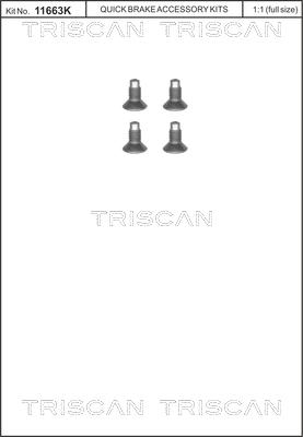 Triscan 8105 116004 - Kit de vis, disque de frein cwaw.fr