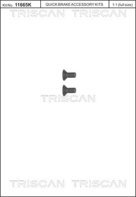 Triscan 8105 116006 - Kit de vis, disque de frein cwaw.fr