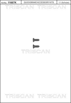 Triscan 8105 116008 - Kit de vis, disque de frein cwaw.fr