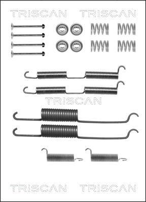 Triscan 8105 252569 - Kit d'accessoires, mâchoire de frein cwaw.fr