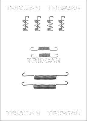 Triscan 8105 272578 - Kit d'accessoires, mâchoires de frein de stationnement cwaw.fr