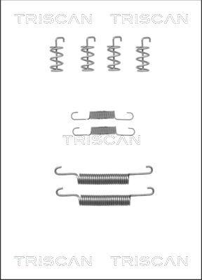 Triscan 8105 272577 - Kit d'accessoires, mâchoires de frein de stationnement cwaw.fr