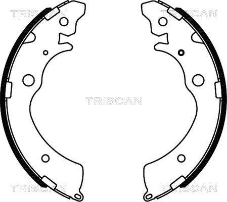 Triscan 8100 40508 - Jeu de mâchoires de frein cwaw.fr