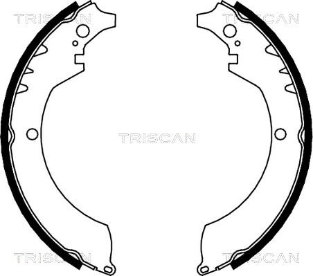 Triscan 8100 41419 - Jeu de mâchoires de frein cwaw.fr