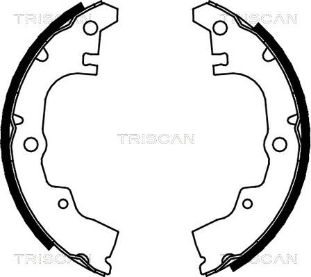 Triscan 8100 41414 - Jeu de mâchoires de frein cwaw.fr