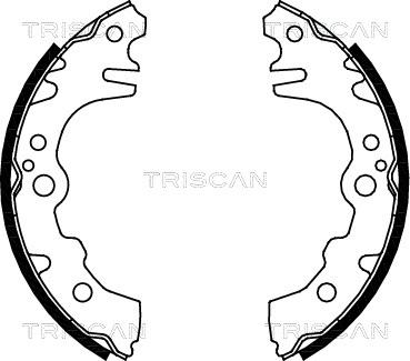 Triscan 8100 41619 - Jeu de mâchoires de frein cwaw.fr