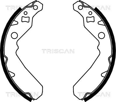 Triscan 8100 41615 - Jeu de mâchoires de frein cwaw.fr