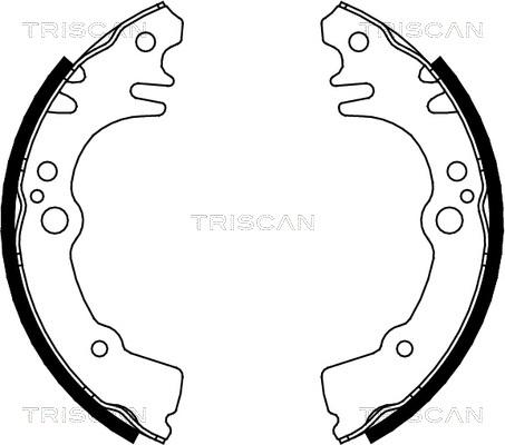 Triscan 8100 41616 - Jeu de mâchoires de frein cwaw.fr