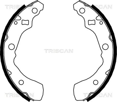 Triscan 8100 41618 - Jeu de mâchoires de frein cwaw.fr