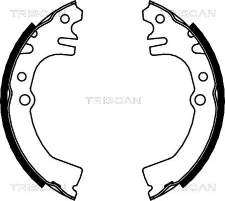 Triscan 8100 41613 - Jeu de mâchoires de frein cwaw.fr