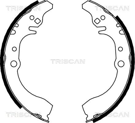 Triscan 8100 41617 - Jeu de mâchoires de frein cwaw.fr