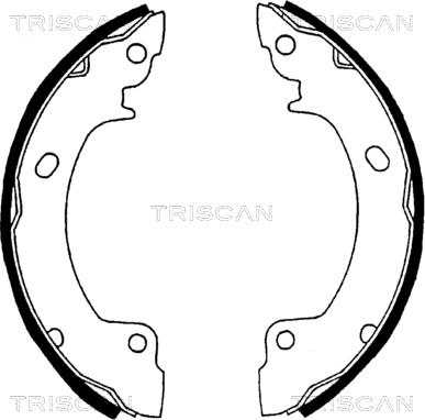 Triscan 8100 43529 - Jeu de mâchoires de frein cwaw.fr