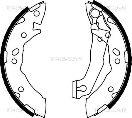 Triscan 8100 43621 - Jeu de mâchoires de frein cwaw.fr