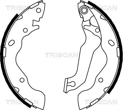 Triscan 8100 43013 - Jeu de mâchoires de frein cwaw.fr