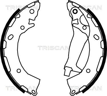 Triscan 8100 43024 - Jeu de mâchoires de frein cwaw.fr