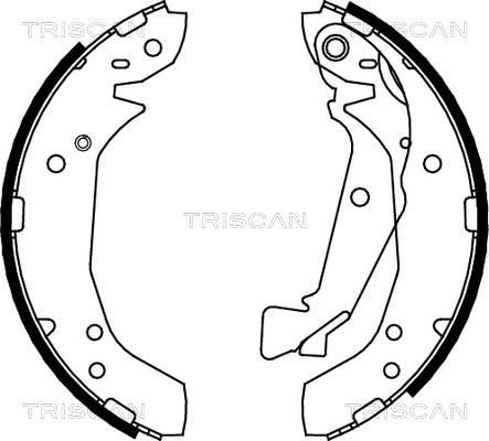 Triscan 8100 43025 - Jeu de mâchoires de frein cwaw.fr