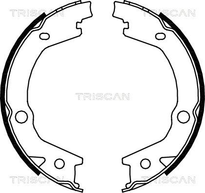 Triscan 8100 43020 - Jeu de mâchoires de frein, frein de stationnement cwaw.fr