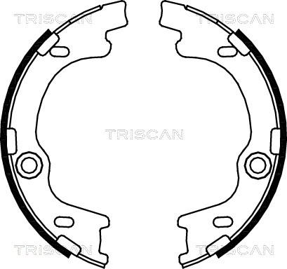 Triscan 8100 43021 - Jeu de mâchoires de frein cwaw.fr