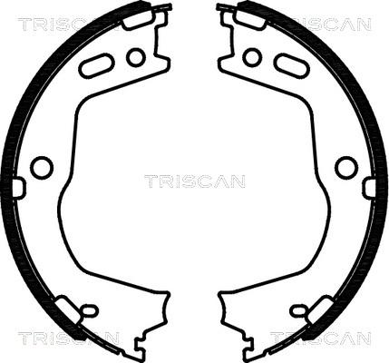 Triscan 8100 43028 - Jeu de mâchoires de frein, frein de stationnement cwaw.fr