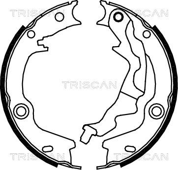 Triscan 8100 43023 - Jeu de mâchoires de frein, frein de stationnement cwaw.fr