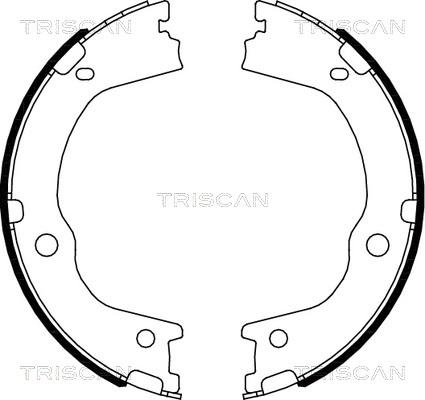 Triscan 8100 43027 - Jeu de mâchoires de frein cwaw.fr