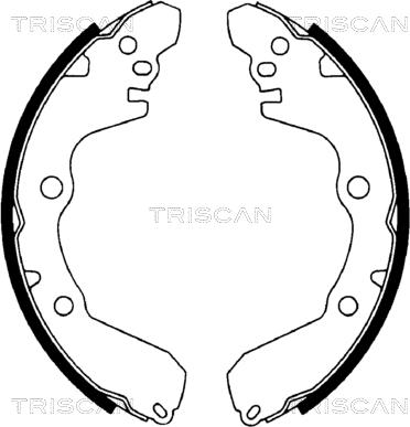 Triscan 8100 42566 - Jeu de mâchoires de frein cwaw.fr