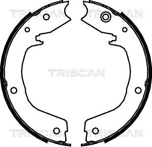 Triscan 8100 42019 - Jeu de mâchoires de frein, frein de stationnement cwaw.fr