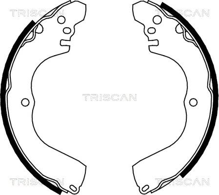 Triscan 8100 42017 - Jeu de mâchoires de frein cwaw.fr