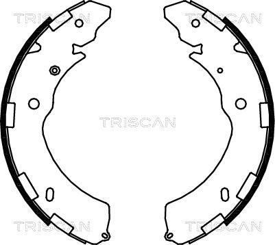 Triscan 8100 42021 - Jeu de mâchoires de frein cwaw.fr