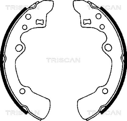 Triscan 8100 50496 - Jeu de mâchoires de frein cwaw.fr