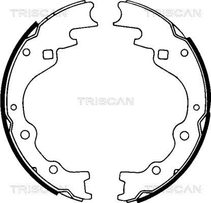 Triscan 8100 50461 - Jeu de mâchoires de frein cwaw.fr