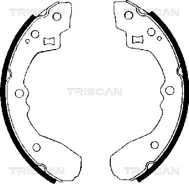 Triscan 8100 50406 - Jeu de mâchoires de frein cwaw.fr